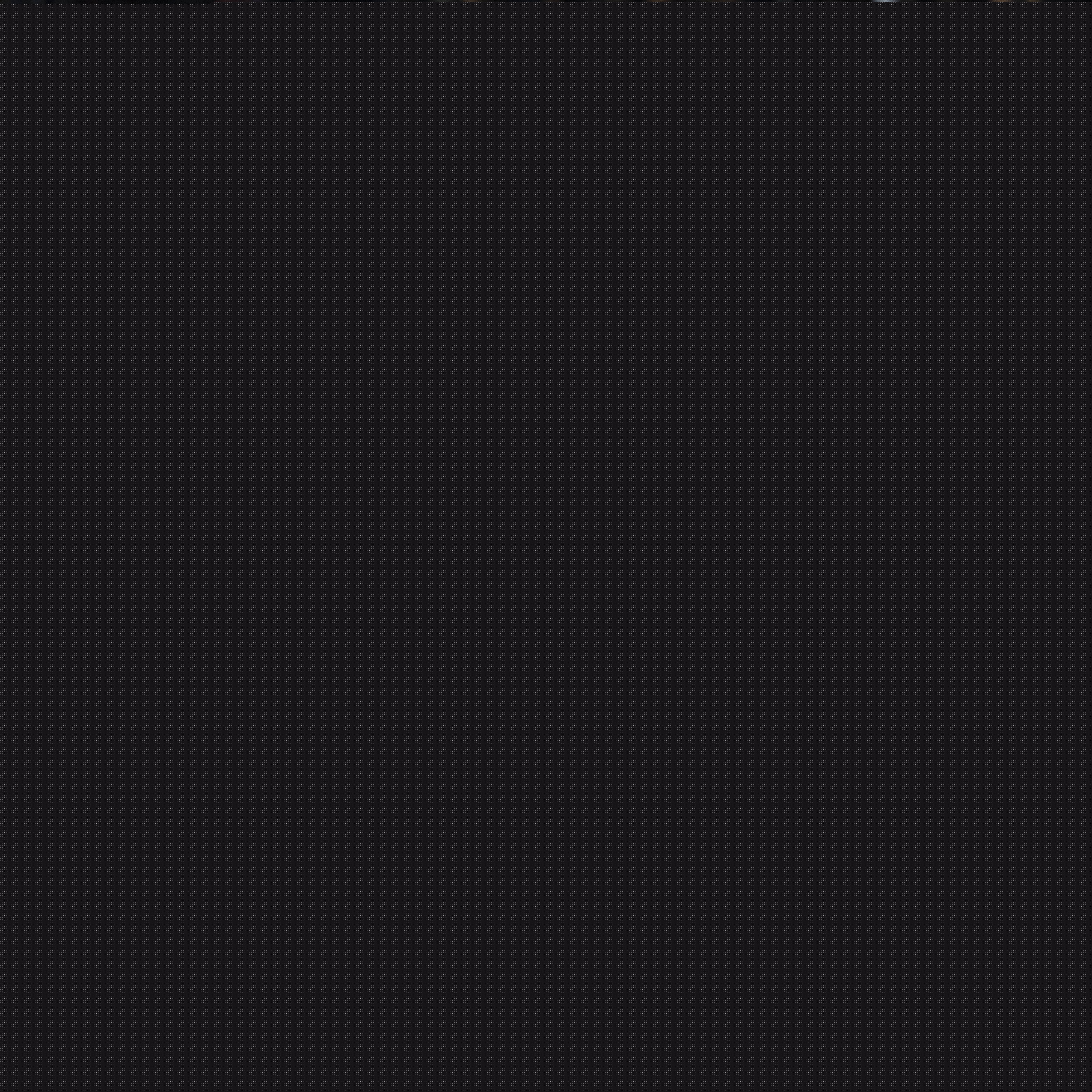 灵活的战术